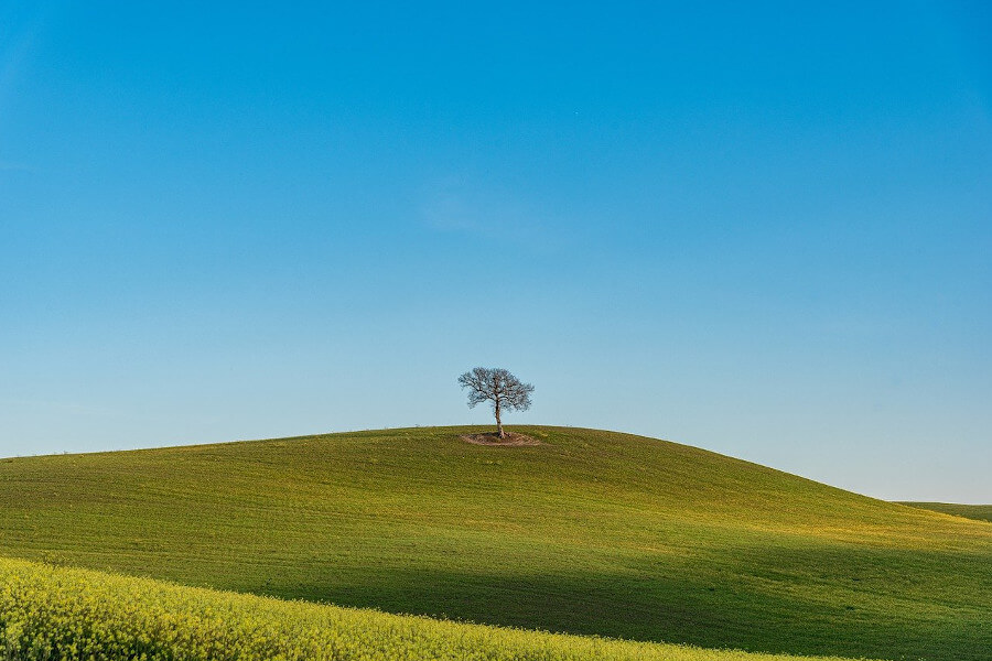 Geburtstagsgrüße in den Himmel